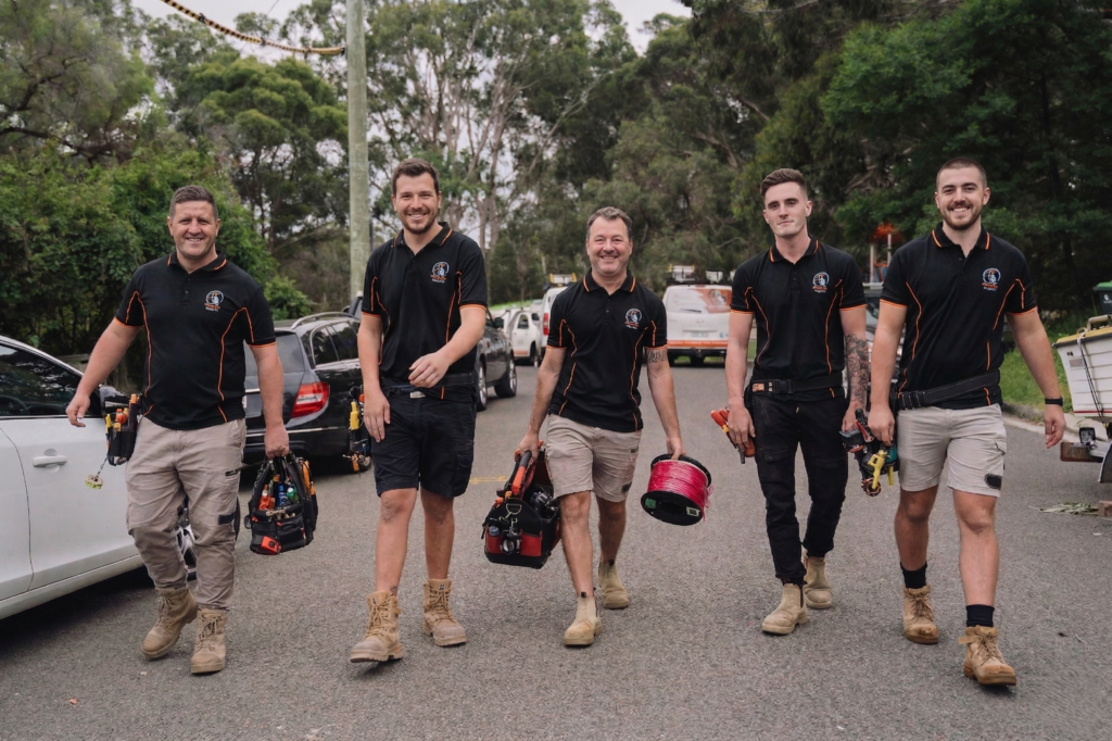 Professional electrical services in Belmore